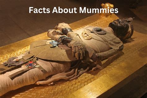 MUMMY Definition & Usage Examples .
